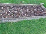 image of grave number 801381